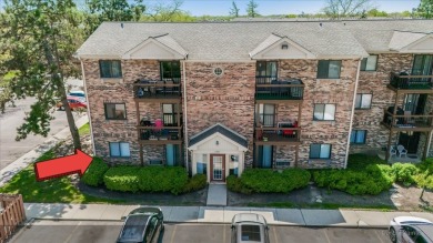 Lake Home Sale Pending in Arlington Heights, Illinois