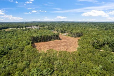 Now introducing The Birch Build Package at Village on Pleasant - photo 8