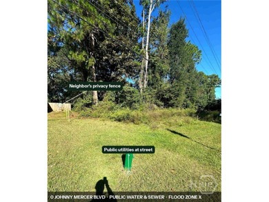 One of the last truly buildable lots on Wilmington Island - and - photo 3