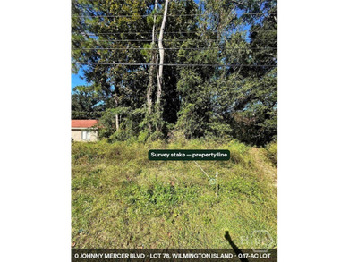 One of the last truly buildable lots on Wilmington Island - and - photo 4