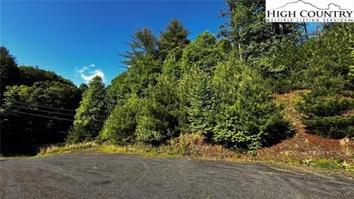 (private lake, pond, coastal) Acreage For Sale in Jefferson North Carolina