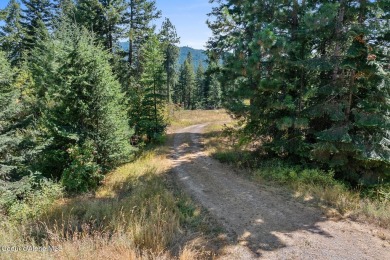 Coeur d Alene Lake Acreage For Sale in Harrison Idaho