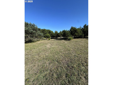 Bandon Buildable Lot Near the Beach! Great opportunity to own an - photo 5