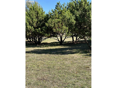 Bandon Buildable Lot Near the Beach! Great opportunity to own an - photo 6
