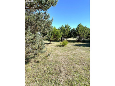 Bandon Buildable Lot Near the Beach! Great opportunity to own an - photo 7