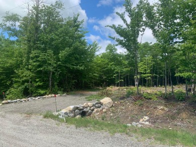 Green Lake - Hancock County - Ellsworth Acreage For Sale in Dedham Maine
