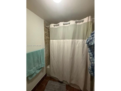 Beautiful updated apartment. Close to expressway and