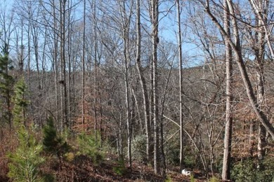 To truly appreciate this property's stunning topography and dual - photo 14