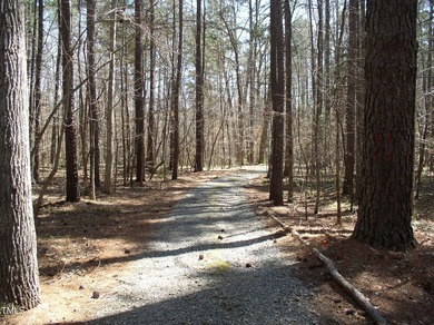 HIDDEN GEM ON Kerr Lake! Tucked away in the countryside of - photo 6