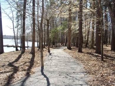 HIDDEN GEM ON Kerr Lake! Tucked away in the countryside of - photo 8