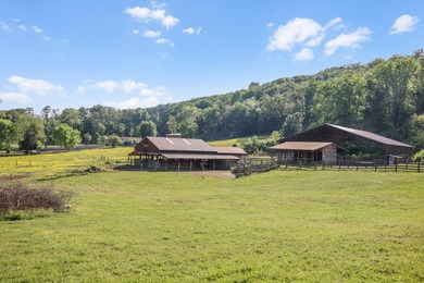Established 27.38-acre equestrian ranch with boarding income - photo 19