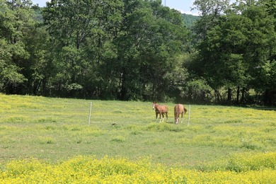 Established 27.38-acre equestrian ranch with boarding income - photo 20