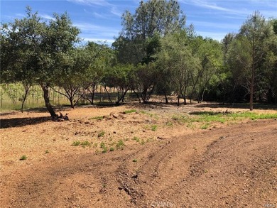 Clear Lake Acreage For Sale in Kelseyville California