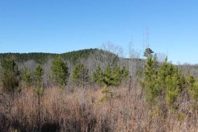 To truly appreciate this property's stunning topography and dual - photo 21