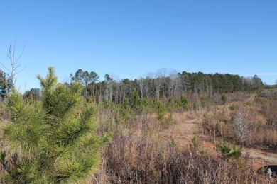 To truly appreciate this property's stunning topography and dual - photo 23