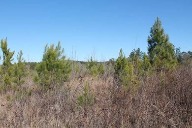 To truly appreciate this property's stunning topography and dual - photo 24