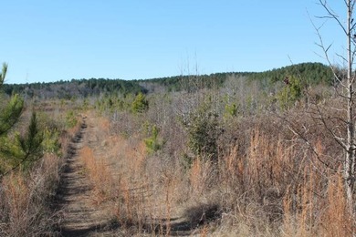 To truly appreciate this property's stunning topography and dual - photo 26
