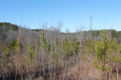 To truly appreciate this property's stunning topography and dual - photo 27