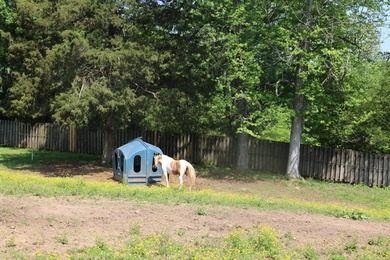 Established 27.38-acre equestrian ranch with boarding income - photo 30