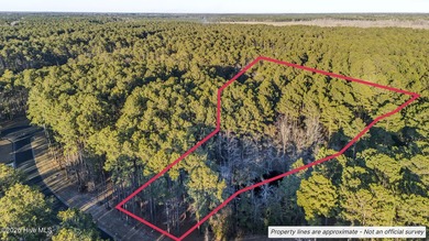 Your 2.4-acre homesite just is just minutes from the ocean -- - photo 2