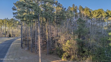 Your 2.4-acre homesite just is just minutes from the ocean -- - photo 3