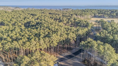 Your 2.4-acre homesite just is just minutes from the ocean -- - photo 4