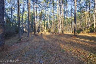 Your 2.4-acre homesite just is just minutes from the ocean -- - photo 5