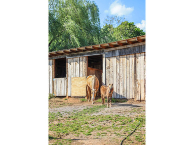 Established 27.38-acre equestrian ranch with boarding income - photo 37