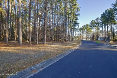 Your 2.4-acre homesite just is just minutes from the ocean -- - photo 7