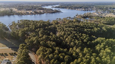 Your 2.4-acre homesite just is just minutes from the ocean -- - photo 9