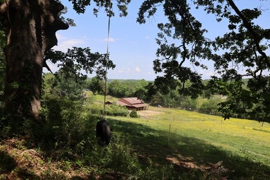 Established 27.38-acre equestrian ranch with boarding income - photo 46