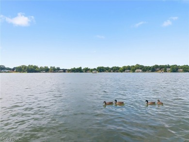 Welcome to affordable lakefront living on beautiful Meyers Lake! - photo 46