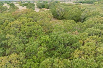 Have you ever dreamed of owning a completely private lakefront - photo 55