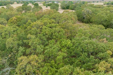 Have you ever dreamed of owning a completely private lakefront - photo 56