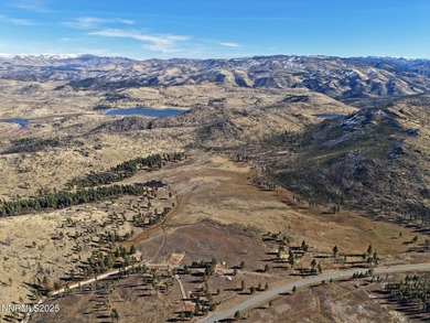 Lake Acreage For Sale in Markleeville, California