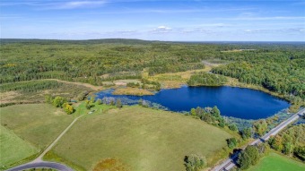 Lake Acreage For Sale in Weyerhaeuser, Wisconsin