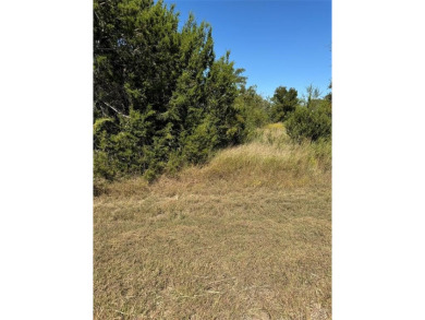 Lake Whitney Lot For Sale in Whitney Texas