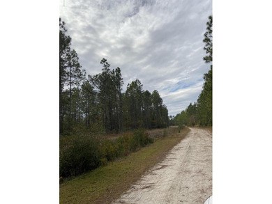 Excellent opportunity to own 99 acres off of Hoover Rd. adjacent - photo 11