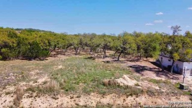 (private lake, pond, creek) Lot For Sale in Blanco Texas