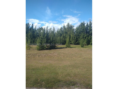 Amazing location, stop looking!! Investment property or ready to - photo 19
