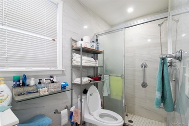 Prime Flushing detached single-family home located near Northern - photo 9