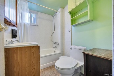 Welcome to 16 E Grove Street in Massapequa - a spacious and - photo 28