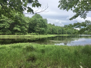 Calling All Nature Lovers! 16+ waterfront acres - Lake Acreage For Sale in Bethel, New York