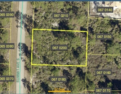 Lehigh Acres Area Lot Sale Pending in Lehigh Acres Florida
