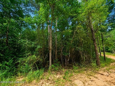 4.4+/- Acres | South Greene County | Vernal Community Beautiful - photo 11