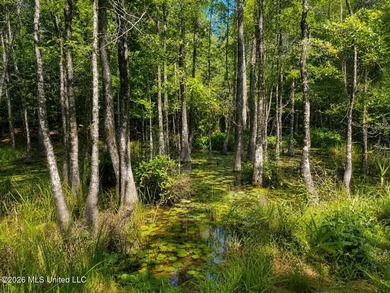 4.4+/- Acres | South Greene County | Vernal Community Beautiful - photo 14
