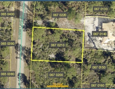 Lehigh Acres Area Lot Sale Pending in Lehigh Acres Florida