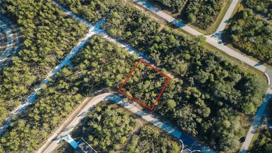 (private lake, pond, creek) Lot For Sale in Sebring Florida