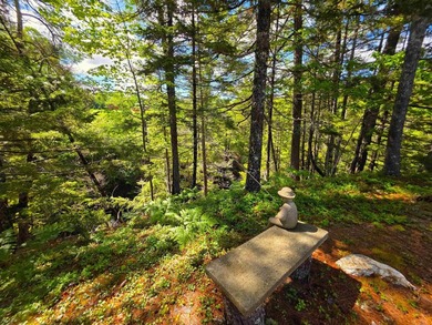 This remarkable site, with the remains of the foundation of a - photo 13