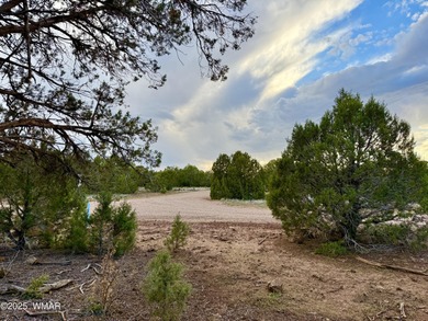White Mountain Lake Lot Sale Pending in Show Low Arizona